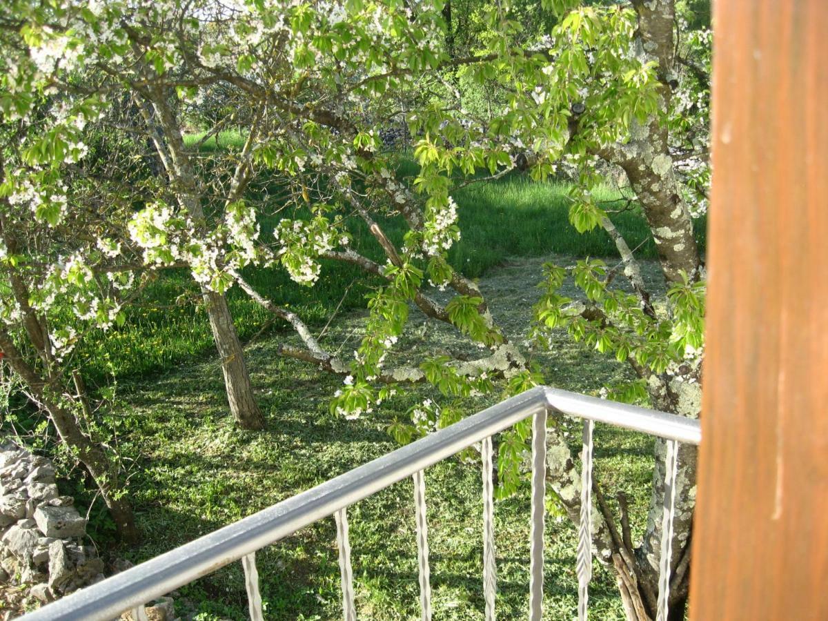 Apartamento Antonia & Arian Roč Exterior foto